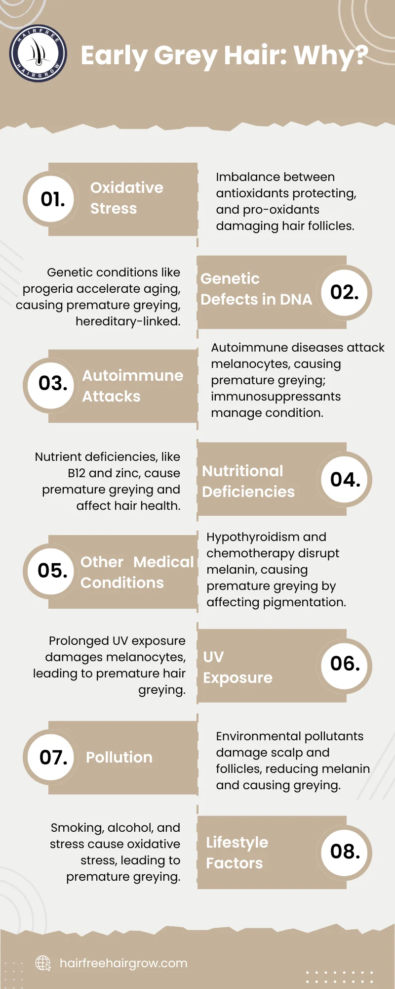 detailed infographic on early grey hair: why?