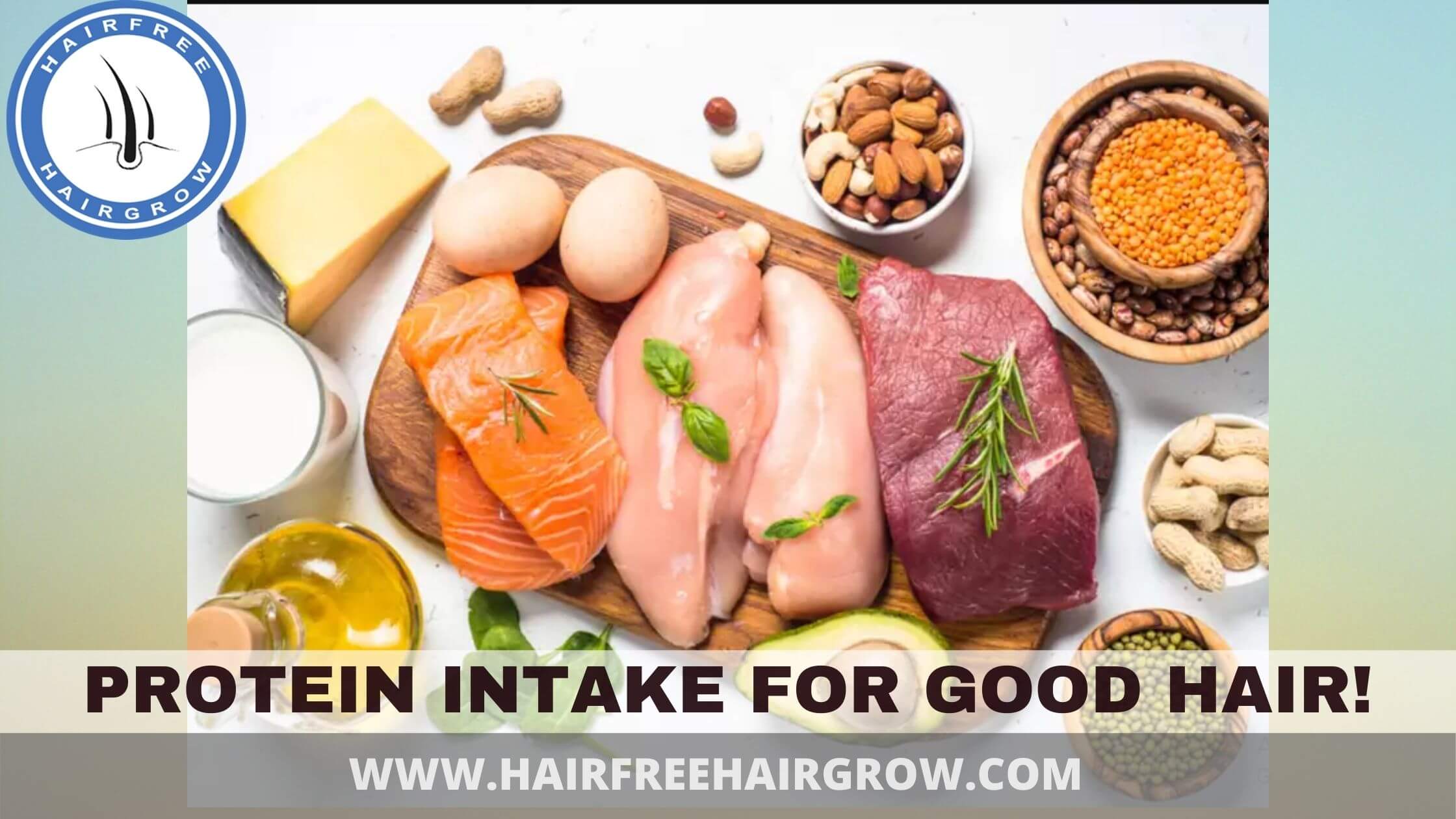 every food that are enriched with protein that can be good for hair loss