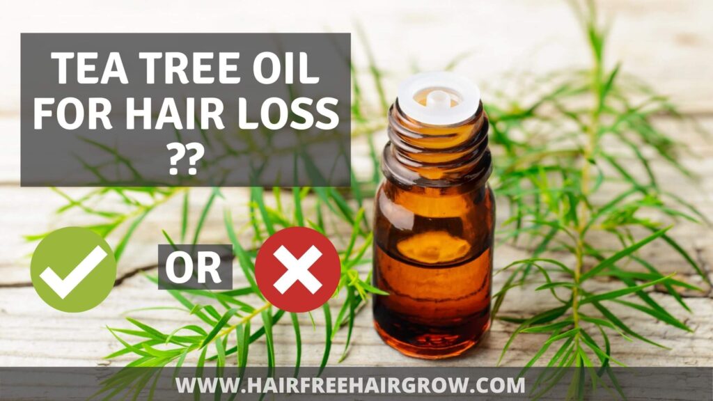 a small glass bottle filled with tea tree essential oil to be used for hair loss