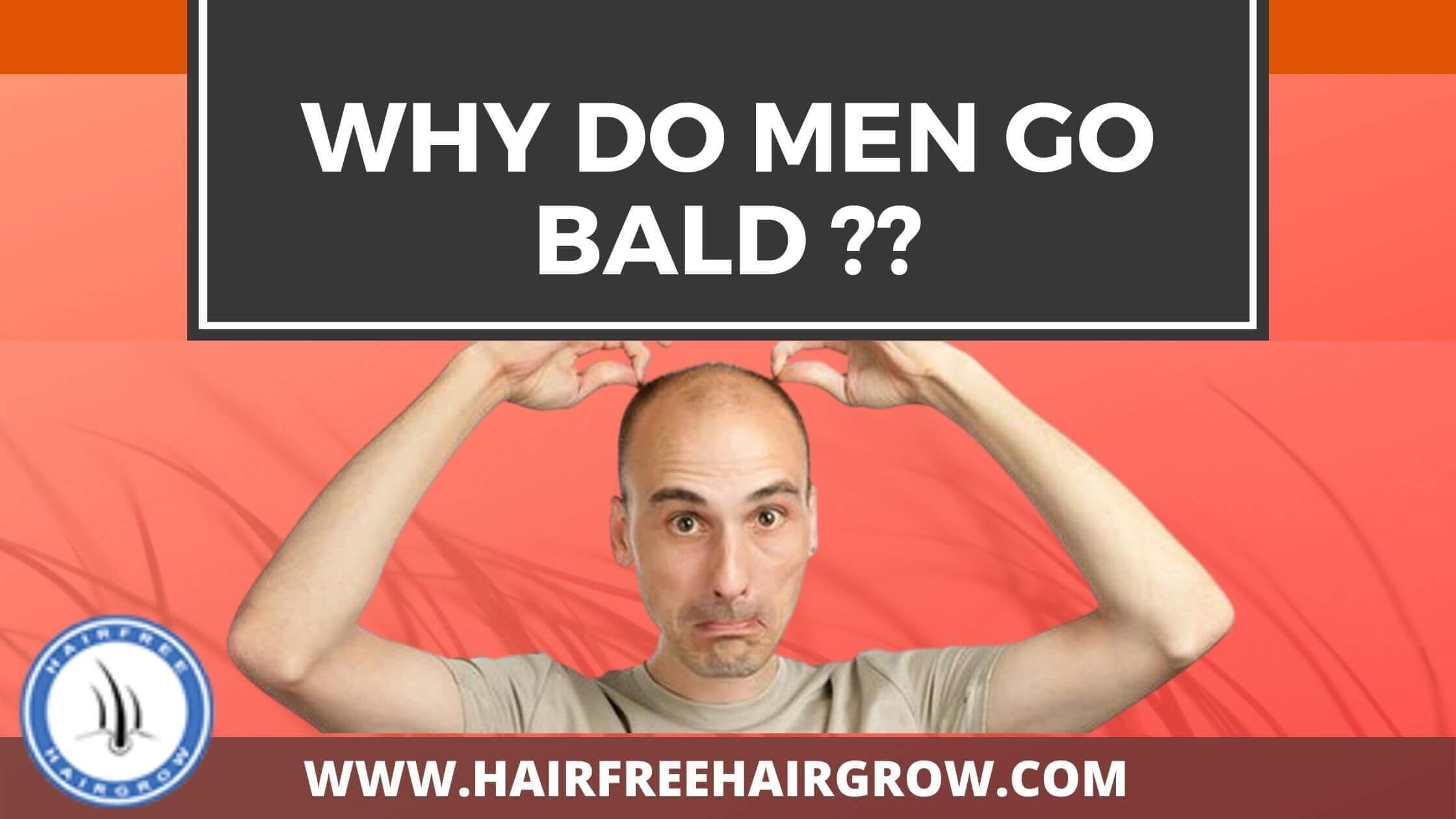 an almost bald man holding his very small hairs with banner saying "why do men go bald?" an article by hair free hair grow