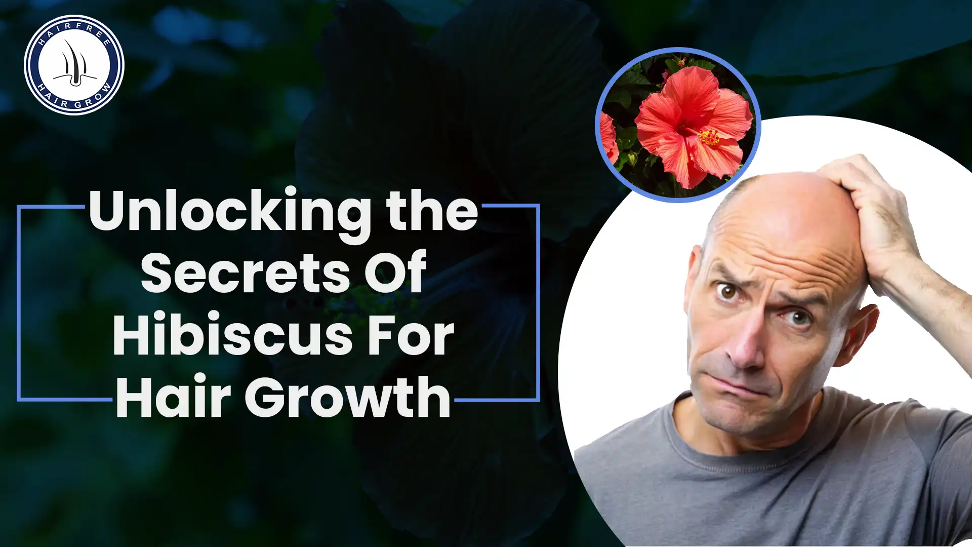 Benefits of Hibiscus for Hair Growth – Natural Remedy for Stronger, Healthier Hair