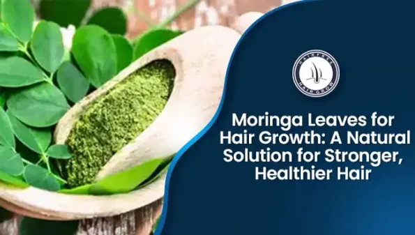 Moringa leaves used for hair growth naturally