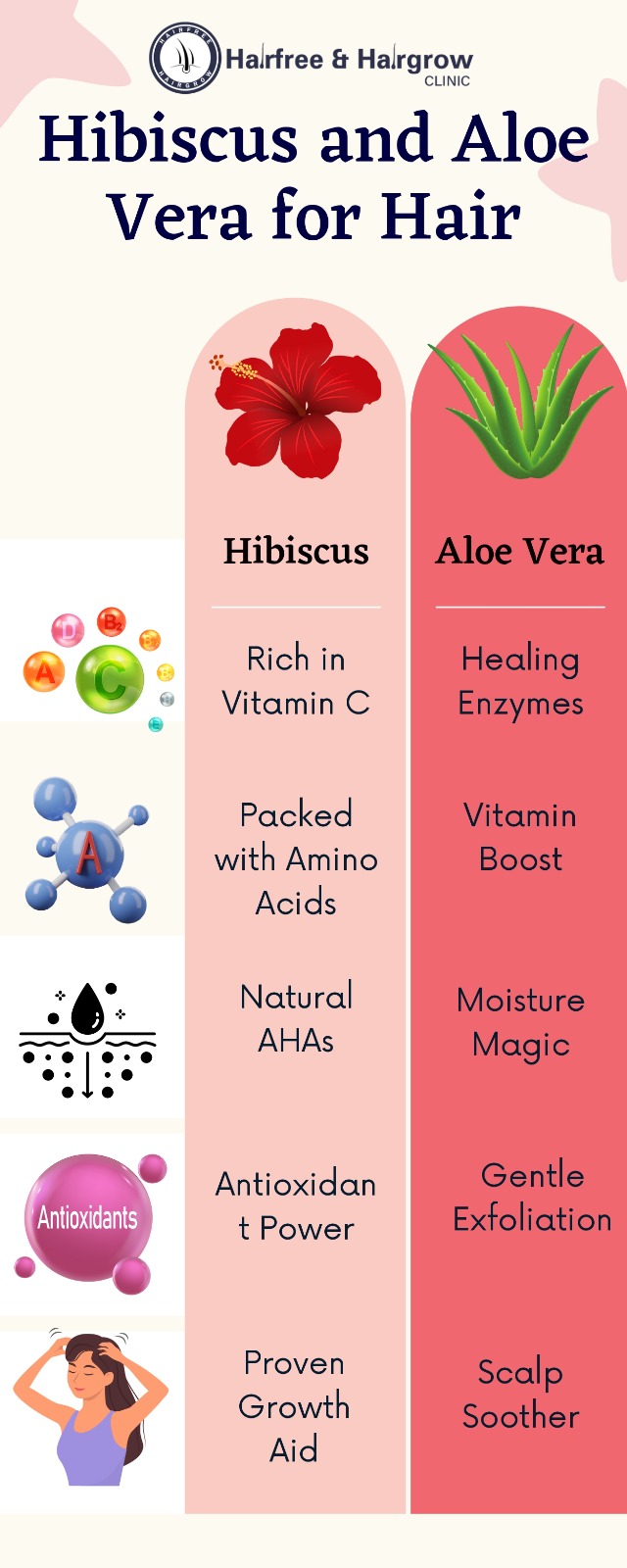 Hibiscus and Aloe Vera for Hair: The Natural Duo Your Hair Needs! 1 Infographic showing benefits of hibiscus and aloe vera for hair