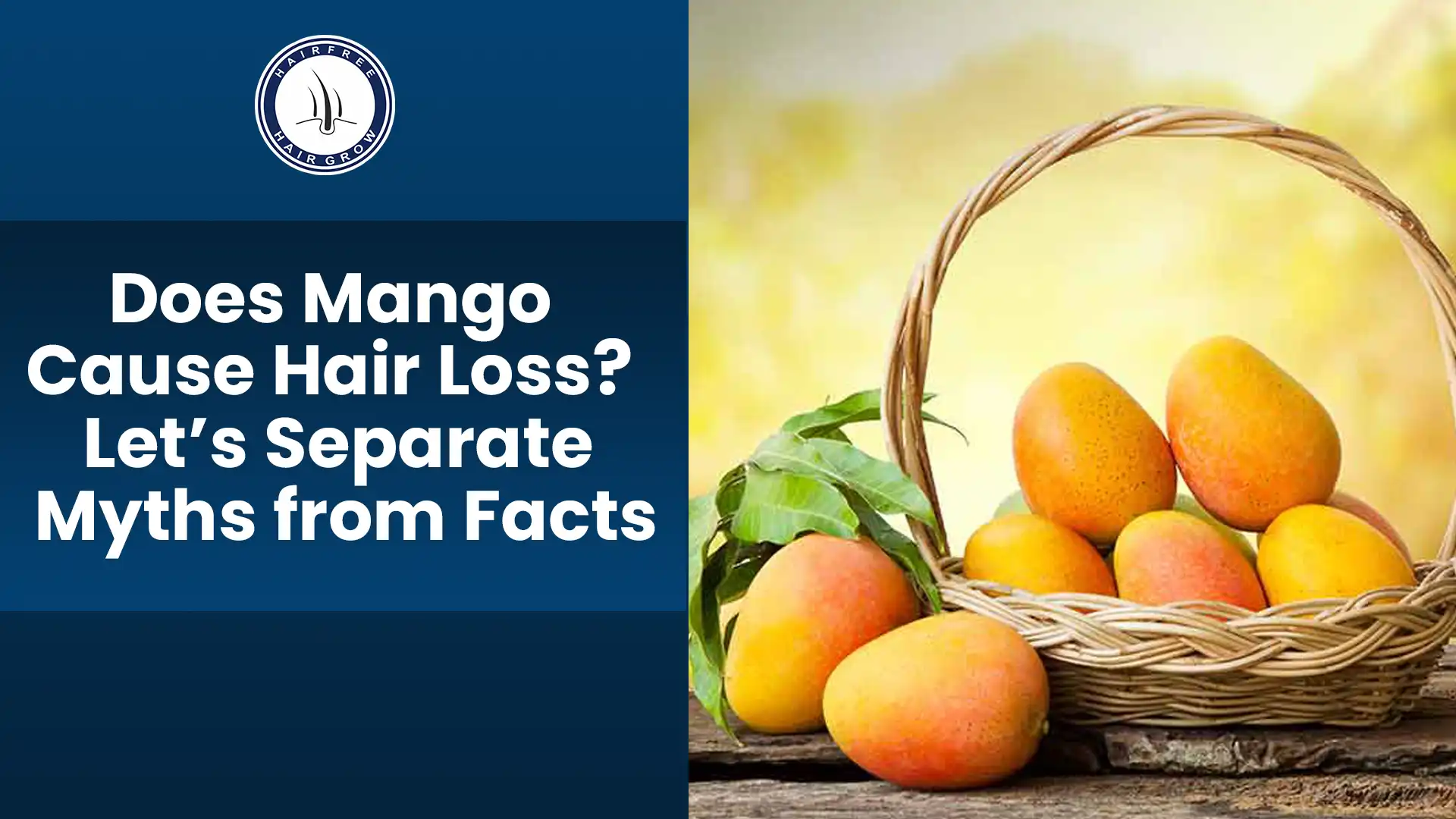 Does mango cause hair loss or not – myth explained